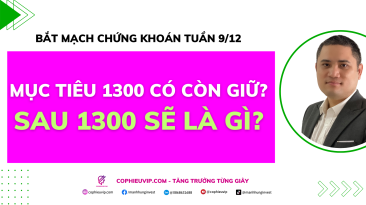 Bắt mạch chứng khoán tuần 9/12: Mục tiêu 1300 có còn giữ? Sau 1300 sẽ là gì?