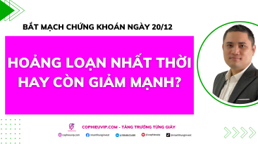 Bắt mạch chứng khoán ngày 20/12: Hoảng loạn nhất thời hay còn giảm mạnh?