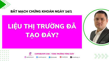 Bắt mạch chứng khoán ngày 14/1: Liệu thị trường đã tạo đáy?