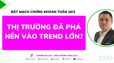 Bắt mạch chứng khoán tuần 10/3: Thị trường đã phá nền vào Trend lớn?