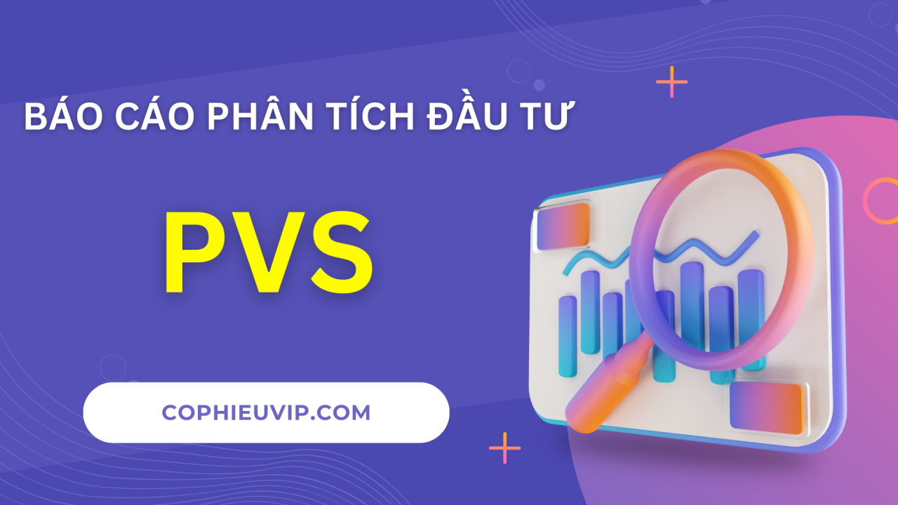 BÁO CÁO PHÂN TÍCH ĐẦU TƯ CỔ PHIẾU PVS