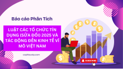 Báo cáo Phân Tích: Luật Các Tổ Chức Tín Dụng (Sửa Đổi) 2025 và Tác Động Đến Kinh Tế Vĩ Mô Việt Nam