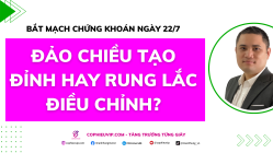 Bắt mạch chứng khoán ngày 22/7/2025: Đảo chiều tạo đỉnh hay rung lắc điều chỉnh?