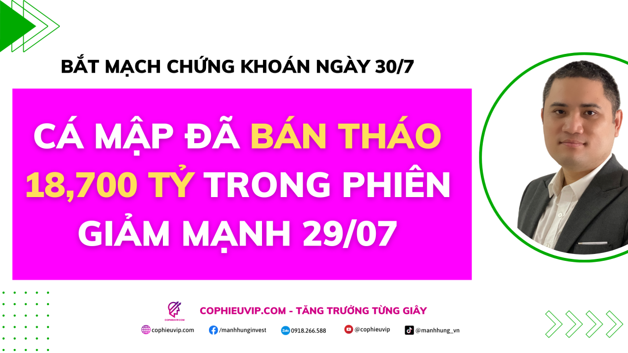 Bắt mạch chứng khoán ngày 30/7/2025: Cá mập đã bán tháo 18,700 tỷ trong phiên giảm mạnh 29/07.