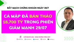 Bắt mạch chứng khoán ngày 30/7/2025: Cá mập đã bán tháo 18,700 tỷ trong phiên giảm mạnh 29/07.