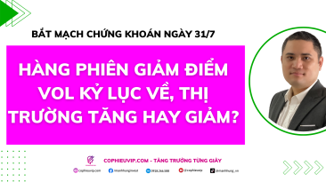 Bắt mạch chứng khoán ngày 31/7/2025: Hàng phiên giảm điểm vol kỷ lục về, thị trường tăng hay giảm?