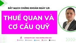 Thuế quan và Cơ cấu quỹ