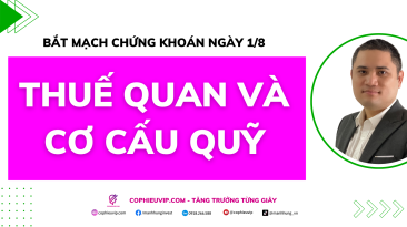 Thuế quan và Cơ cấu quỹ