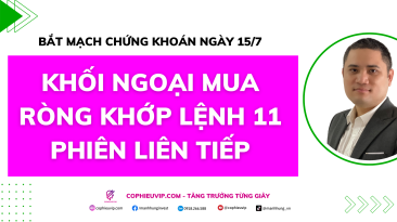 Bắt mạch chứng khoán ngày 15/7/2025: Khối ngoại mua ròng khớp lệnh 11 phiên liên tiếp