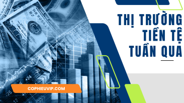 Thị trường Tiền tệ Việt Nam Tuần Qua