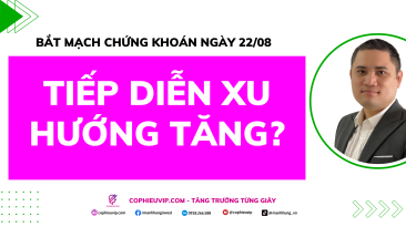 Bắt Mạch Chứng Khoán Ngày 22/8/2025: Tiếp Diễn Xu Hướng Tăng?