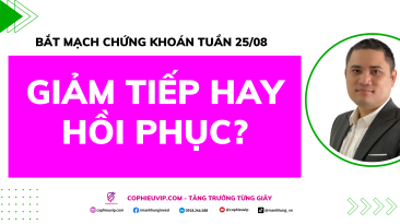 Bắt Mạch Chứng Khoán Tuần 25/8/2025: Giảm Tiếp Hay Hồi Phục?