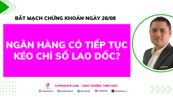 Bắt Mạch Chứng Khoán Ngày 26/8/2025: Ngân Hàng Có Tiếp Tục Kéo Chỉ Số Lao Dốc?