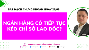 Bắt Mạch Chứng Khoán Ngày 26/8/2025: Ngân Hàng Có Tiếp Tục Kéo Chỉ Số Lao Dốc?