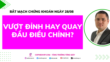 Bắt Mạch Chứng Khoán Ngày 28/8/2025: Vượt Đỉnh Hay Quay Đầu Điều Chỉnh?