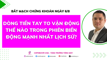 Bắt mạch chứng khoán ngày 6/8/2025: Dòng tiền tay to vận động thế nào trong phiên biến động mạnh nhất lịch sử?