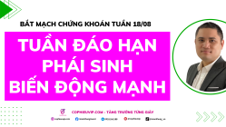 Bắt Mạch Chứng Khoán Tuần 18/8/2025: Tuần Đáo Hạn Phái Sinh Biến Động Mạnh