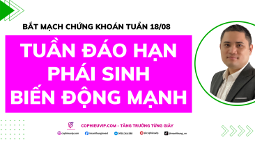 Bắt Mạch Chứng Khoán Tuần 18/8/2025: Tuần Đáo Hạn Phái Sinh Biến Động Mạnh