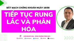 Bắt Mạch Chứng Khoán Ngày 19/8/2025: Tiếp Tục Rung Lắc Và Phân Hóa
