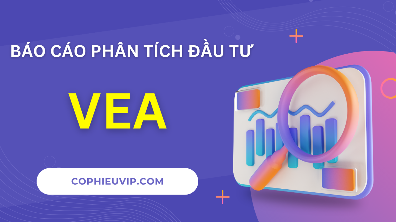 BÁO CÁO PHÂN TÍCH ĐẦU TƯ CỔ PHIẾU VEA