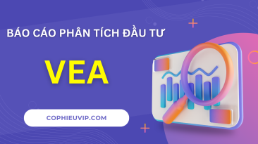 BÁO CÁO PHÂN TÍCH ĐẦU TƯ CỔ PHIẾU VEA