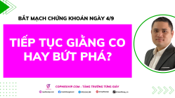 Bắt Mạch Chứng Khoán Ngày 4/9/2025: Tiếp Tục Giằng Co Hay Bứt Phá?
