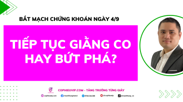Bắt Mạch Chứng Khoán Ngày 4/9/2025: Tiếp Tục Giằng Co Hay Bứt Phá?