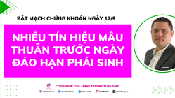 Bắt Mạch Chứng Khoán Ngày 17/9/2025: Nhiều Tín Hiệu Mâu Thuẫn Trước Ngày Đáo Hạn Phái Sinh