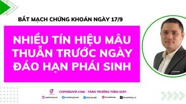 Bắt Mạch Chứng Khoán Ngày 17/9/2025: Nhiều Tín Hiệu Mâu Thuẫn Trước Ngày Đáo Hạn Phái Sinh