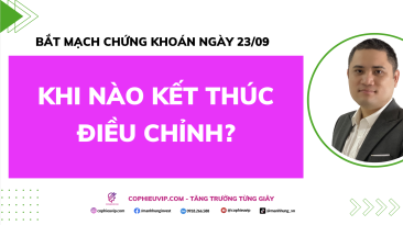 Bắt Mạch Chứng Khoán Ngày 22/9/2025: Khi Nào Kết Thúc Điều Chỉnh?​