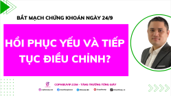 Bắt Mạch Chứng Khoán Ngày 24/9/2025: Hồi Phục Yếu Và Tiếp Tục Điều Chỉnh?