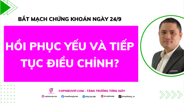 Bắt Mạch Chứng Khoán Ngày 24/9/2025: Hồi Phục Yếu Và Tiếp Tục Điều Chỉnh?