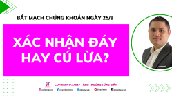 Bắt Mạch Chứng Khoán Ngày 25/9/2025: Xác Nhận Đáy Hay Cú Lừa?
