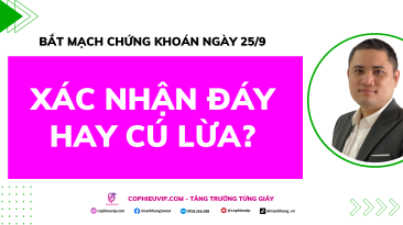 Bắt Mạch Chứng Khoán Ngày 25/9/2025: Xác Nhận Đáy Hay Cú Lừa?