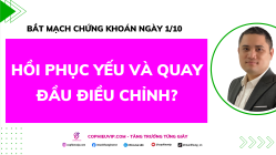 Bắt Mạch Chứng Khoán Ngày 30/9/2025: Hồi Phục Yếu Và Quay Đầu Điều Chỉnh?