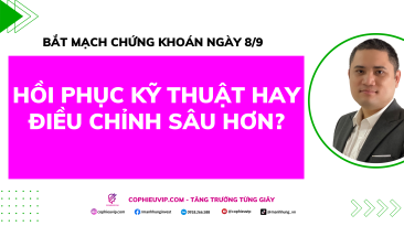 Bắt Mạch Chứng Khoán Ngày 8/9/2025: Hồi Phục Kỹ Thuật Hay Điều Chỉnh Sâu Hơn?