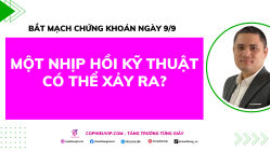 Bắt Mạch Chứng Khoán Ngày 9/9/2025: Một Nhịp Hồi Kỹ Thuật Có Thể Xảy Ra?