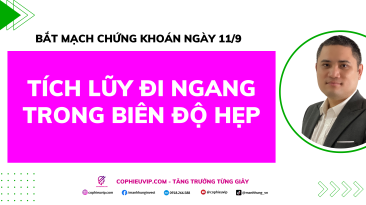 Bắt Mạch Chứng Khoán Ngày 11/9/2025: Tích Lũy Đi Ngang Trong Biên Độ Hẹp