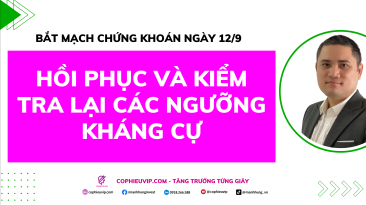 Bắt Mạch Chứng Khoán Ngày 12/9/2025: Hồi Phục Và Kiểm Tra Lại Các Ngưỡng Kháng Cự
