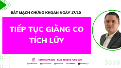 Bắt Mạch Chứng Khoán Ngày 17/10/2025: Tiếp Tục Giằng Co Tích Lũy