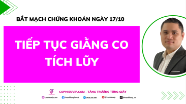 Bắt Mạch Chứng Khoán Ngày 17/10/2025: Tiếp Tục Giằng Co Tích Lũy