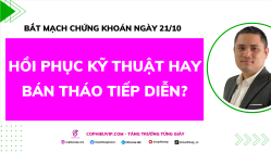 Bắt Mạch Chứng Khoán Ngày 20/10/2025: Hồi Phục Kỹ Thuật Hay Bán Tháo Tiếp Diễn?