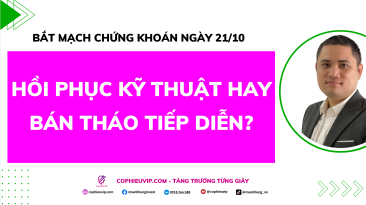 Bắt Mạch Chứng Khoán Ngày 20/10/2025: Hồi Phục Kỹ Thuật Hay Bán Tháo Tiếp Diễn?