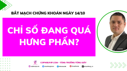 Bắt Mạch Chứng Khoán Ngày 14/10/2025: Chỉ Số Đang Quá Hưng Phấn?