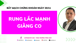 Bắt Mạch Chứng Khoán Ngày 19/11/2025: Rung lắc mạnh/Giằng co