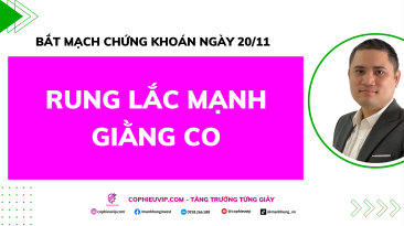 Bắt Mạch Chứng Khoán Ngày 19/11/2025: Rung lắc mạnh/Giằng co