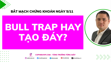 Bắt Mạch Chứng Khoán Ngày 5/11/2025: Bull Trap Hay Tạo Đáy?