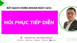 Bắt Mạch Chứng Khoán Ngày 12/11/2025: Hồi Phục Tiếp Diễn