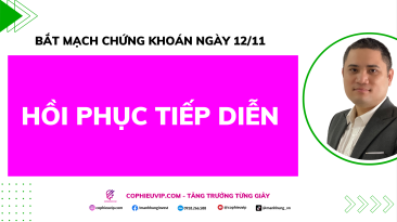 Bắt Mạch Chứng Khoán Ngày 12/11/2025: Hồi Phục Tiếp Diễn