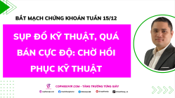Bắt Mạch Chứng Khoán Tuần 15/12/2025: Sụp Đổ Kỹ Thuật, Quá Bán Cực Độ: Chờ Hồi Phục Kỹ Thuật